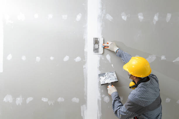 Best Fire-Damaged Drywall Repair  in Woodlake, VA